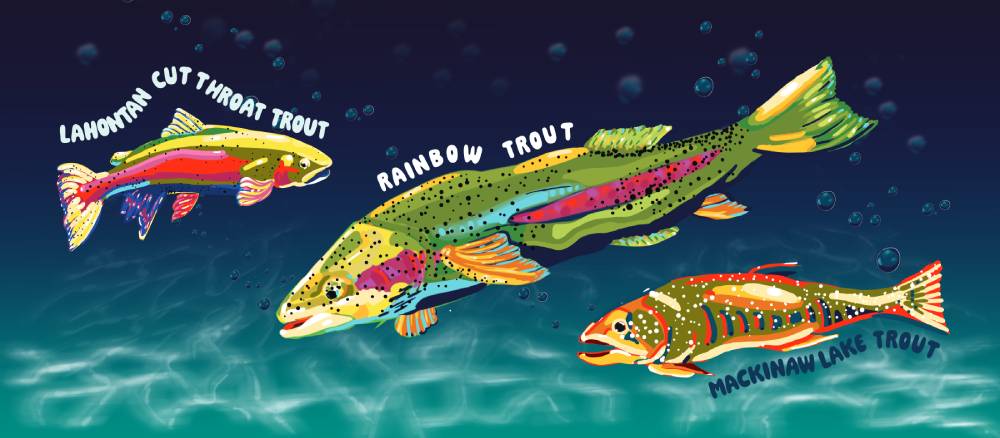 “The Fish of Tahoe”